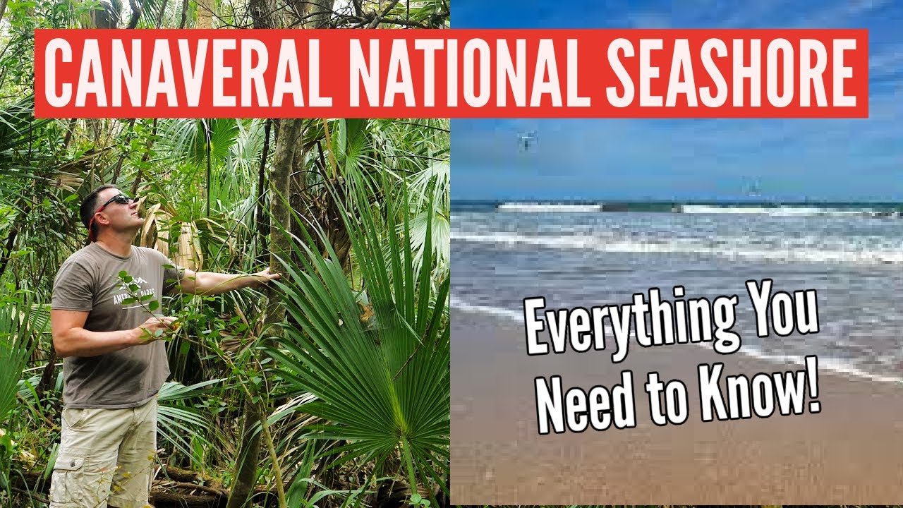 Florida's Canaveral National Seashore | Travel Guide